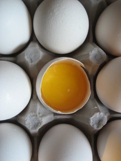 Pure 'Egg'cellence.