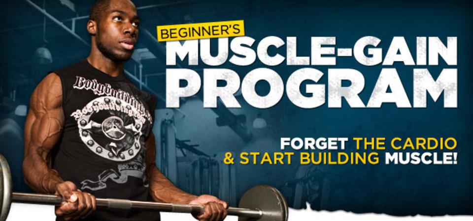 Beginner S Muscle Gain Program Stop Worrying Start