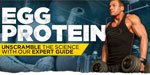 Egg Protein: Unscramble The Science With Our Expert Guide