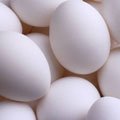 egg-whites_120.jpg