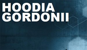 Hoodia Gordonii