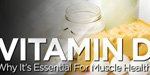 Vitamin D - Why It's Essential For Muscle Health!