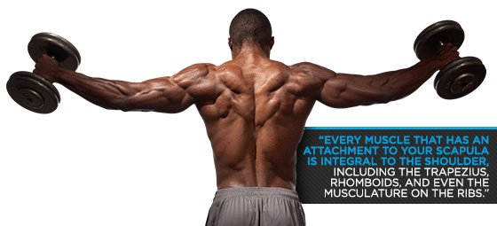 https://www.bodybuilding.com/fun/images/2013/6-super-shoulder-fixes-1b.jpg