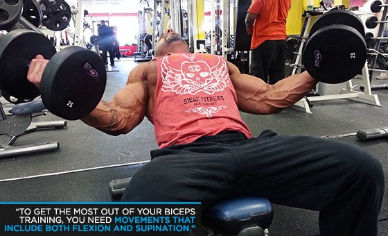 How do you build bigger biceps?
