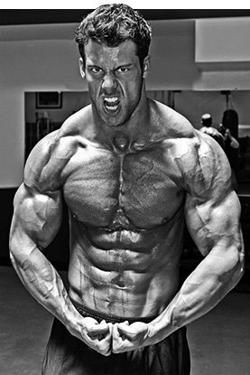 Is it possible to gain muscle and lose fat on steroids