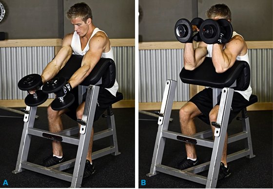 How to get huge biceps fast -- seated curls