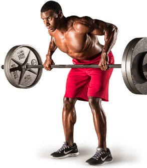 Build Your Strength Foundation: 12 Exercises For Powerlifting Beginners