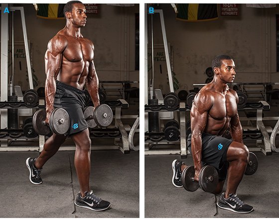 https://www.bodybuilding.com/fun/images/2014/12-exercises-for-beginner-powerlifters-graphics-5.jpg