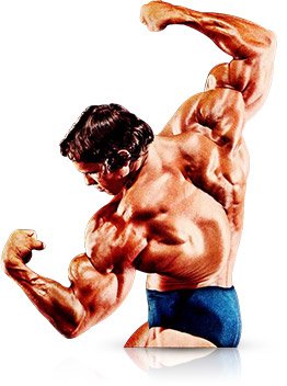 arnold-schwarzeneggers-mammoth-chest-and-back-workout_graphics_arnold-series-4.jpg