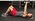 The Floor Press: What Makes The Floor Press So Special?