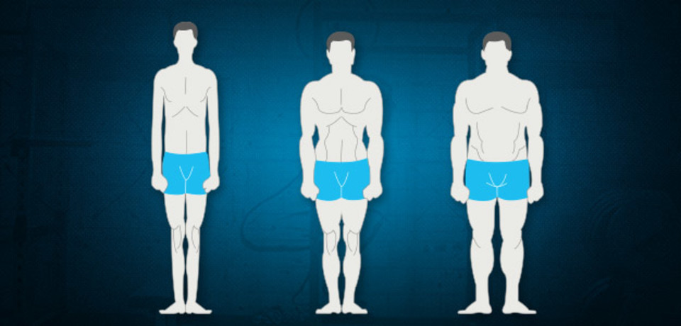 What Is Your Body Type? Take Our Test!