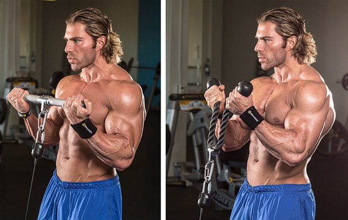 Short Head Biceps Training Tips For Bigger Peaks