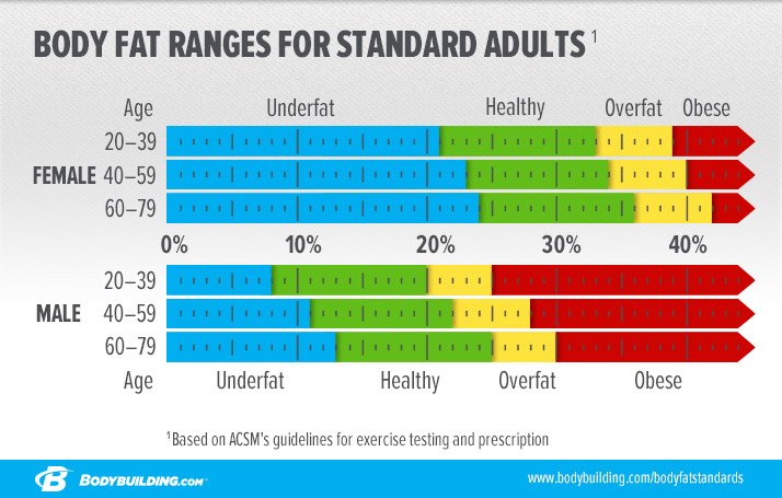 Body Fat Ranges For Standard Adults 53