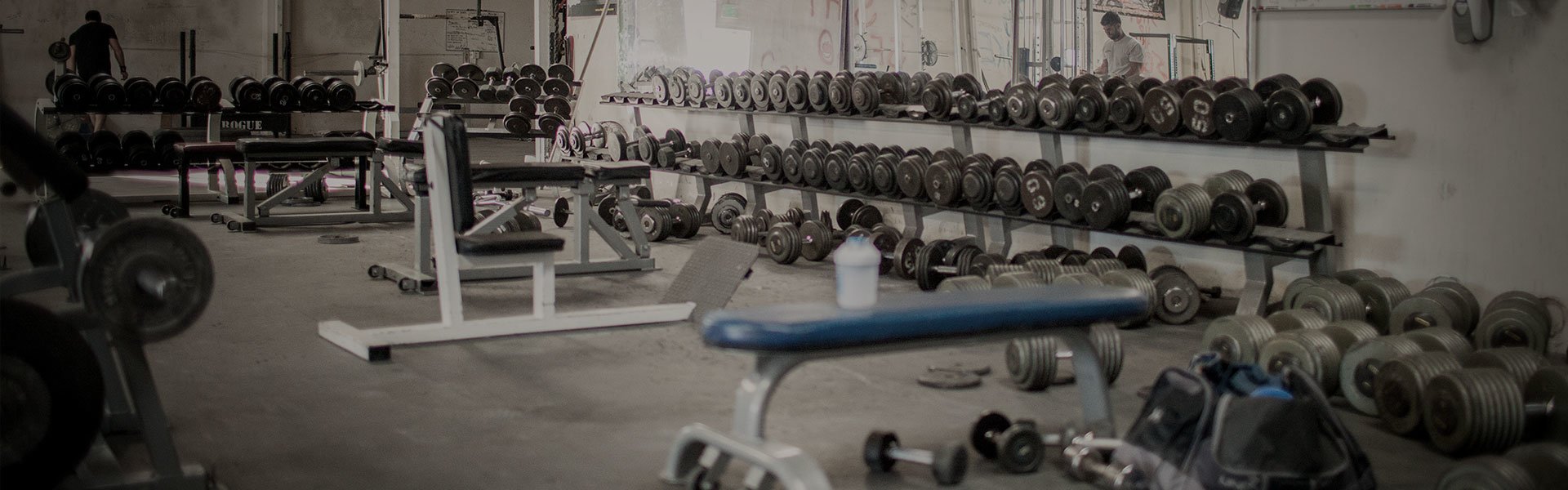 Home Gym Equipment Reviews: Our Expert's Take On The Top 5 Home Gyms!