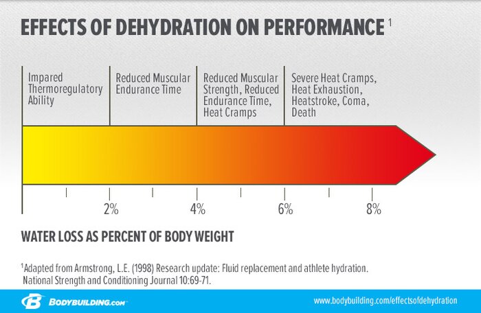 Effects of dehydration on performance infographic