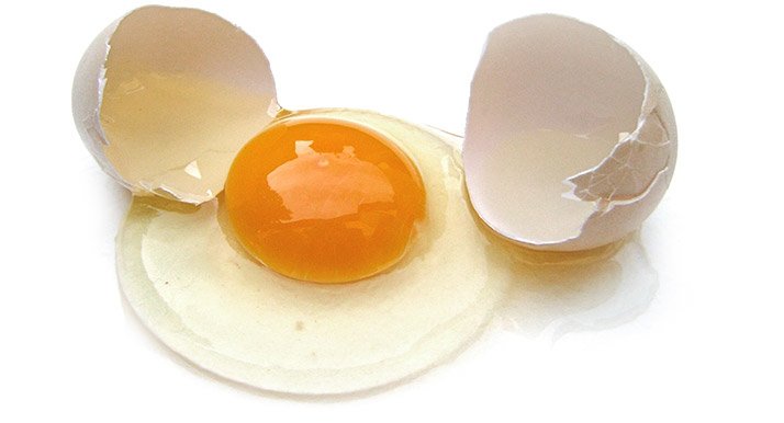 Znalezione obrazy dla zapytania protein egg