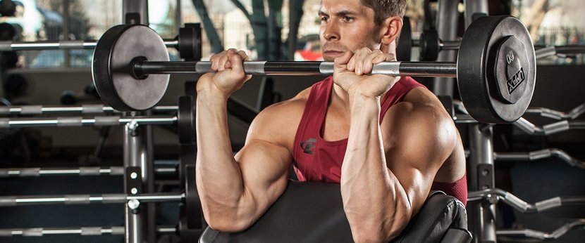 Home Gym Forearm Exerciser Wrist Strengthener Extensor Curl Training Workout 