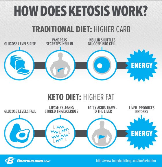 in-depth-look-at-ketogenic-diets-and-ketosis_07.jpg