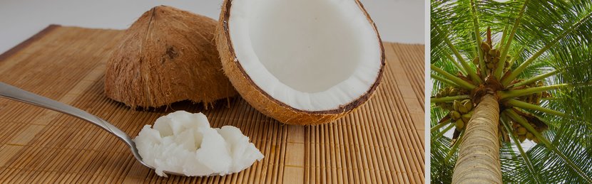 The Surprising Truth About Coconut Oil