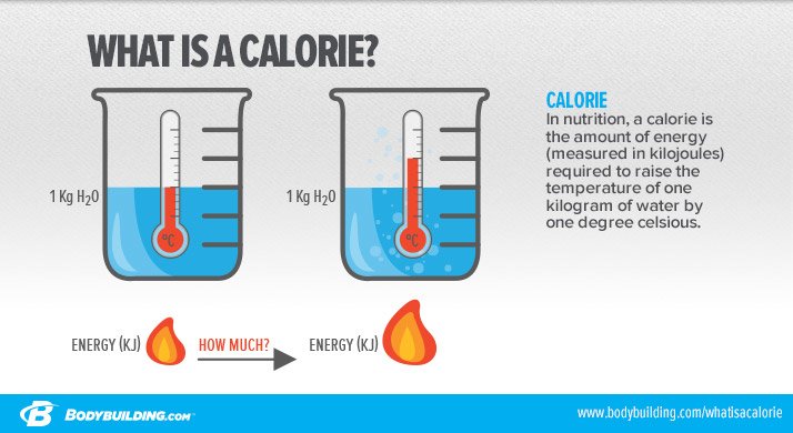 what-is-a-calorie-infographic.jpg