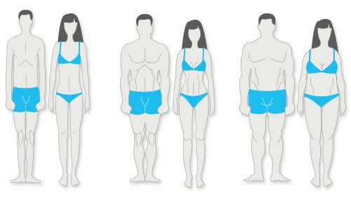 what-is-your-body-type-vital-stats-500x286.jpg