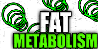 Fat Metabolism!