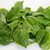 Spinach Leaves Mixed With Romaine Lettuce