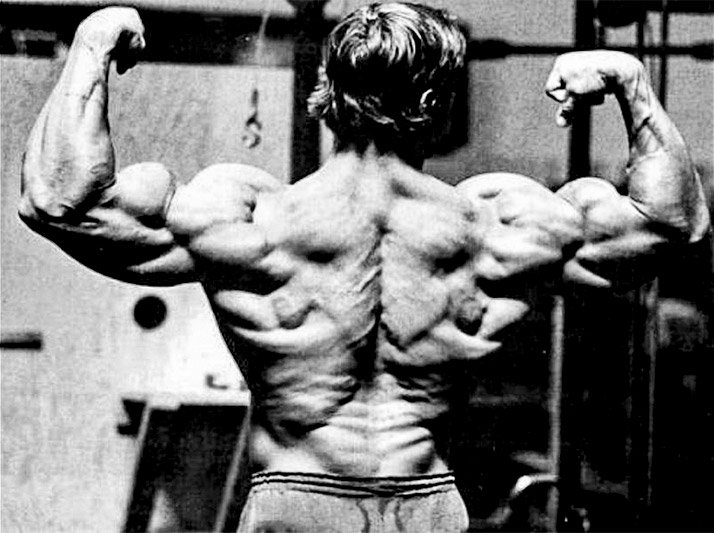 Image result for arnold schwarzenegger back