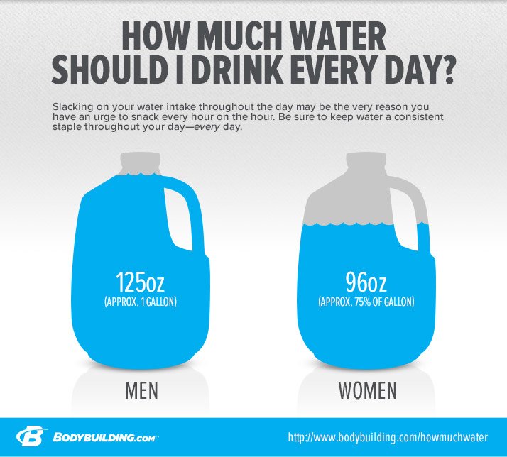 how much water to lose weight a day