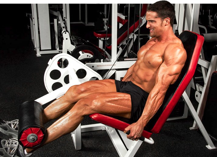 Layne Norton training legs