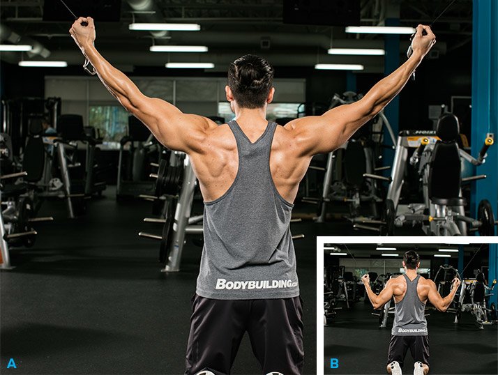 6 best lat exercises youre not doing graphics kneeling isolateral cable pulldown - 4 động tác kéo tạ cho cơ lưng và bắp tay sau săn chắc