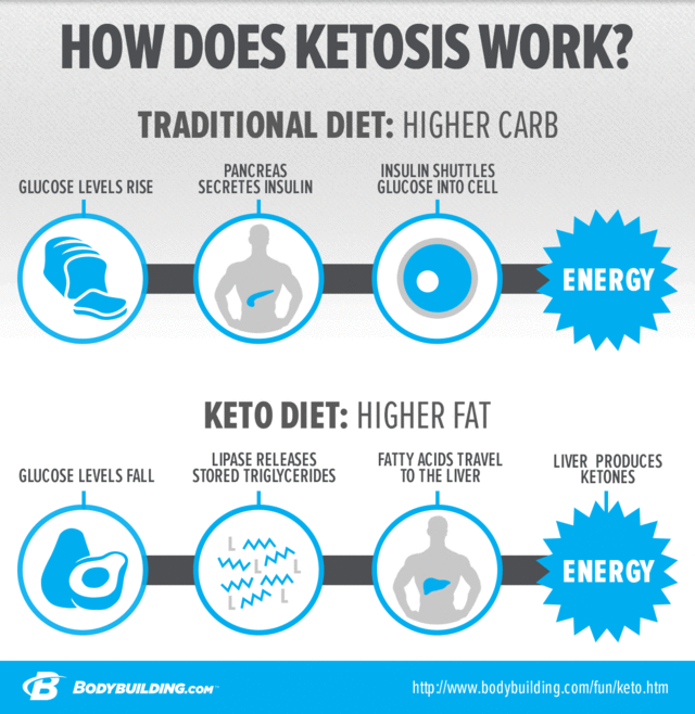 12 Week Keto Diet Bodybuilding