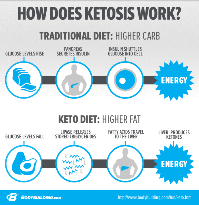 Cyclical ketogenic diet success rate