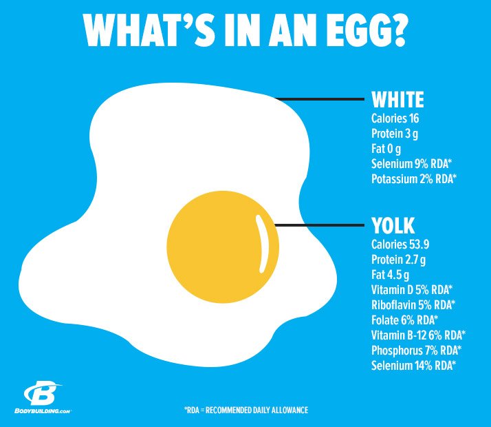 Egg Yolks Fat 86