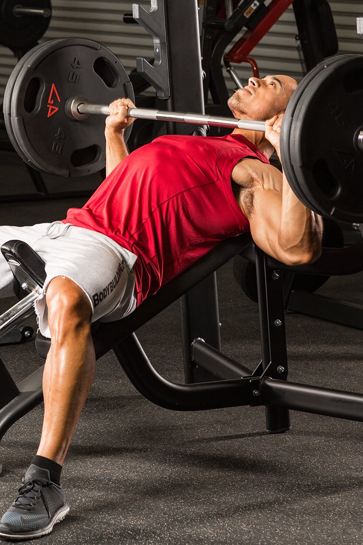 5 Chest Workouts For Mass - A Beginner's Guide ...