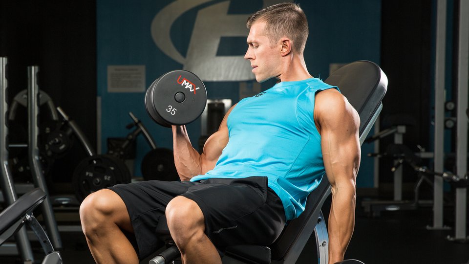 Arm Workouts For Men For Bigger, Stronger Biceps