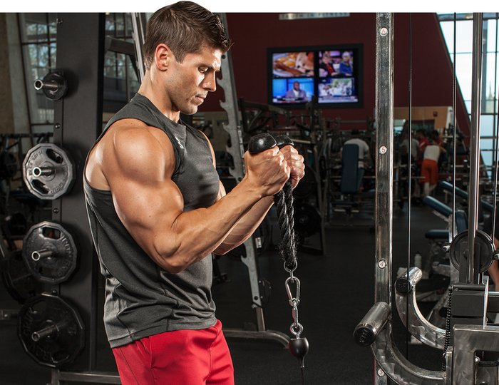 Full Arm Workout - 12 exercises to make your arms Big and perfect 