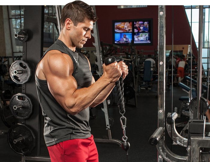 Best Bicep Workout: 15 Great Bicep Exercises for Strength - Men's Journal