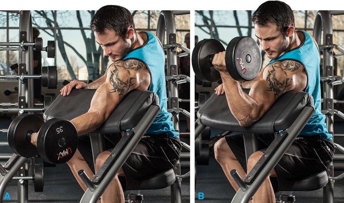 The Best Arm Workouts For Men by Muscle Prodigy - Issuu