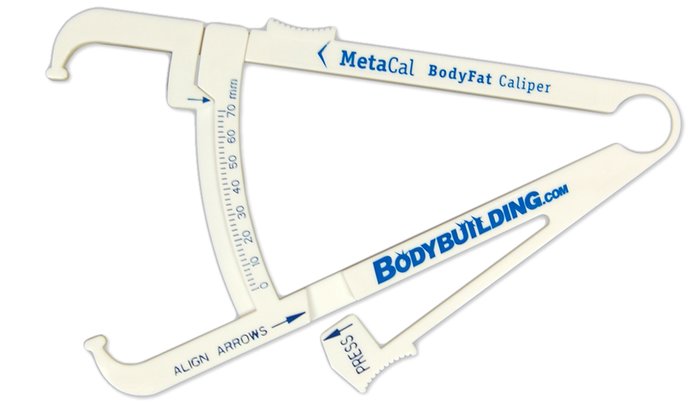 body fat percentage measurement