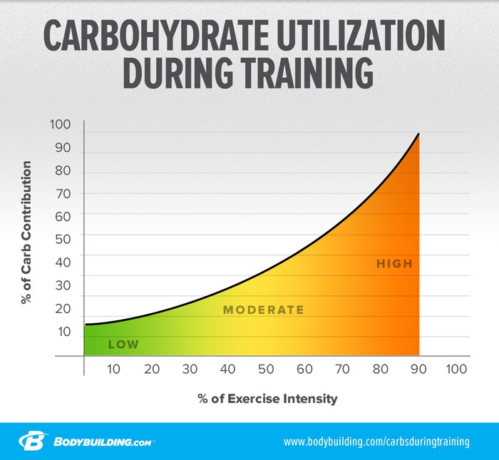 Carbohydrate Utilization During Training line graph