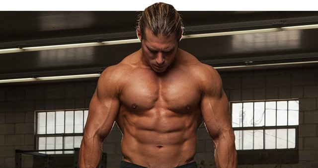 12 Stone Bodybuilding Diet