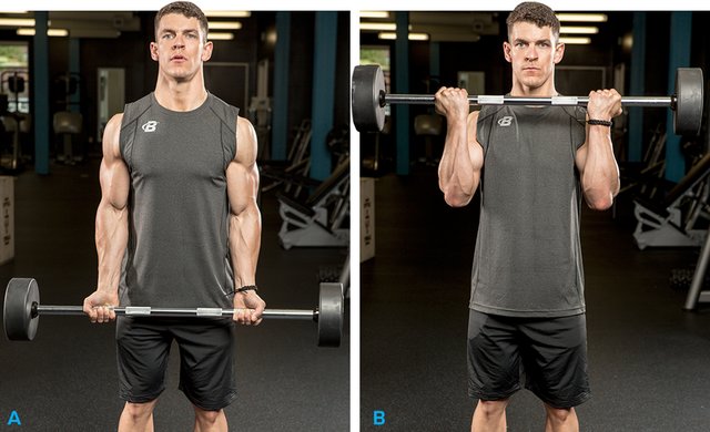 The 5 Best Biceps Exercises For Size! - HealthWorks