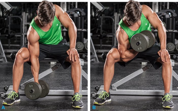 Best Bicep Exercises For Better Arms Workouts