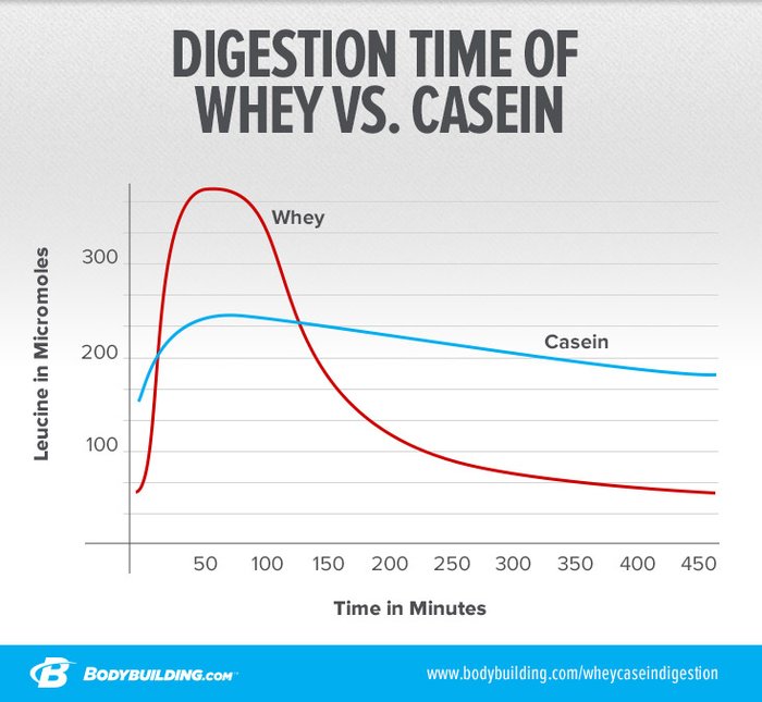 ingen tilbage Flygtig Casein vs Whey: Know The Difference For Better Results