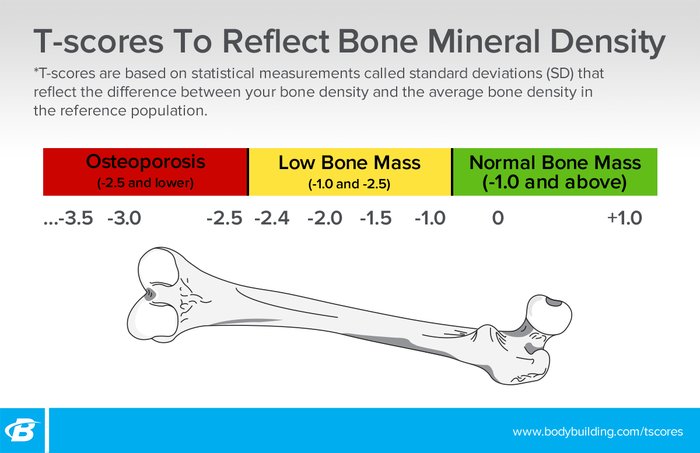Что делает кости сильными. Плотность человеческой кости. Определение плотности кости. Плотность костной ткани. Показатели плотности кости.