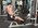 Seated Cable Row