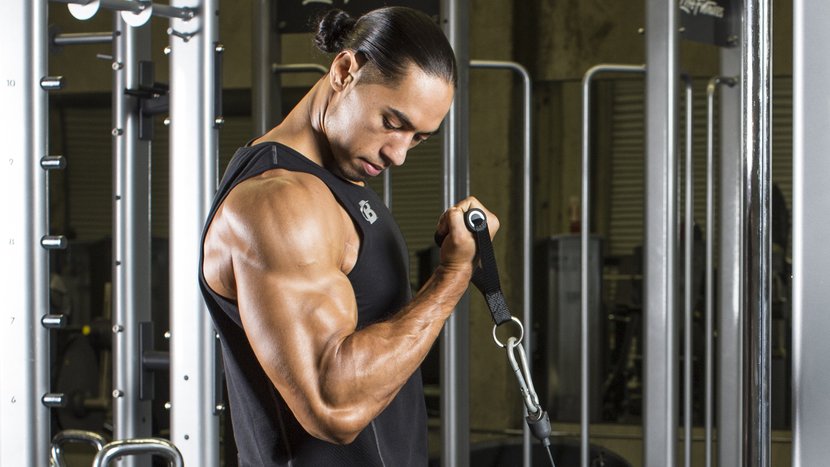 Best Gym Arm Machines - Simple Arm Exercises