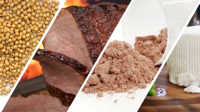 Are You Getting All You Need From Protein?