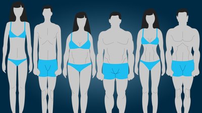 Basic But Important Body Types